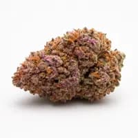 Pink Bubba