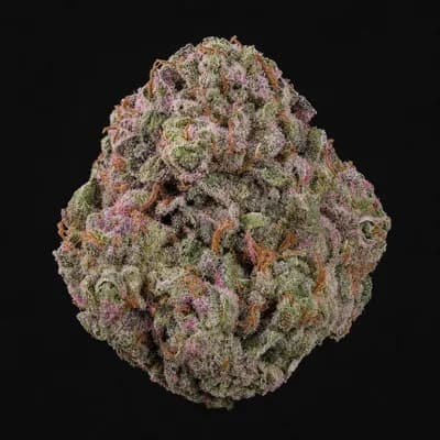 Pink Bubba Gas