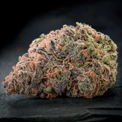 Pink Candy Kush NEW