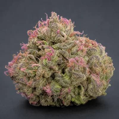Pink Dank