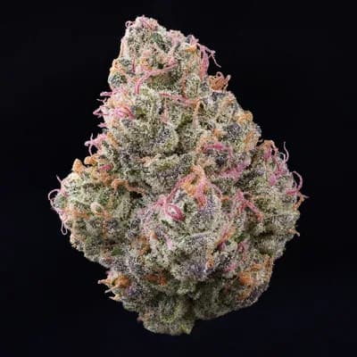 Pink Gelato