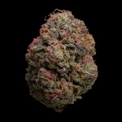 Pink Hindu Kush