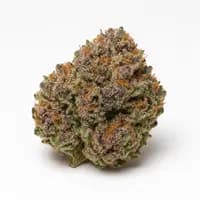 Pink Kush