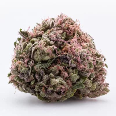 Pink OG THC 30