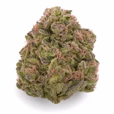 Pink Panties OG