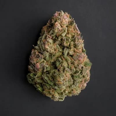 Pink Petrol