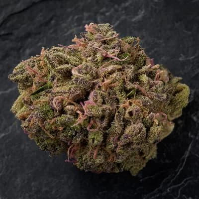 Pink Rosay