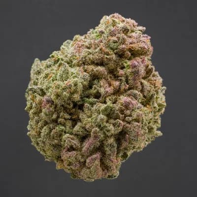 Pink Rozay