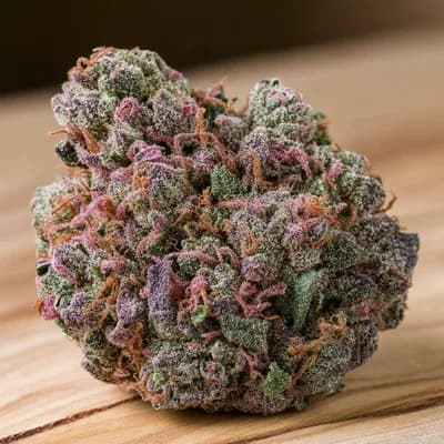 PINK STAR