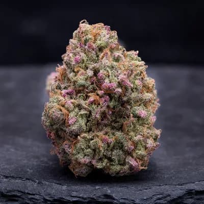 Pink Tuna