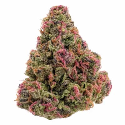 Pink Venom