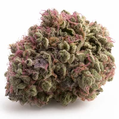 Pinkstar Gas