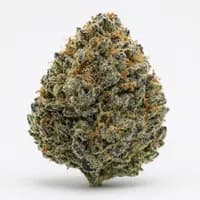 Platinum Cookies