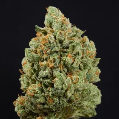 Platinum Ghost
