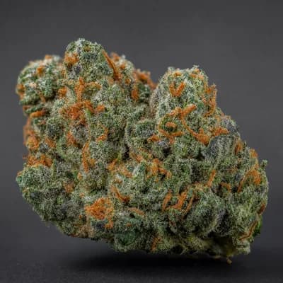 Platinum jack haze