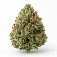 Platinum Kush