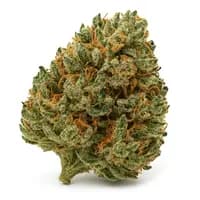 Presidential OG