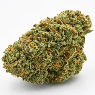 Punch Breath 31