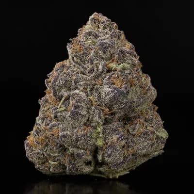 PURPLE AFGHAN