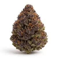 Purple Cotton Candy