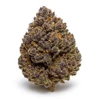 Purple Crack