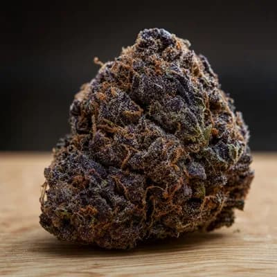 Purple Gorilla Glue