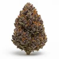 Purple Haze