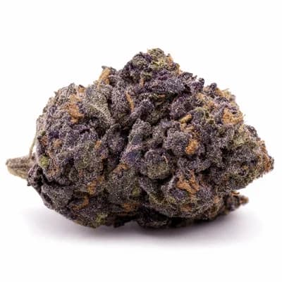 Purple MAC