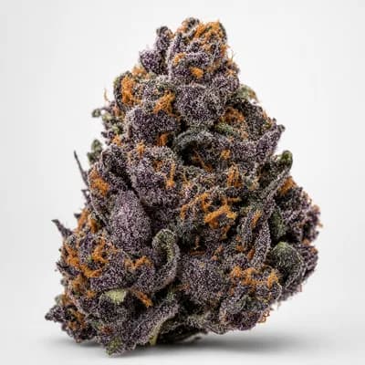 Purple OG
