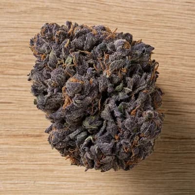 Purple Pancakes