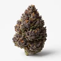 Purple Pineapple Express