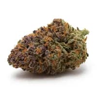 Purple Punch