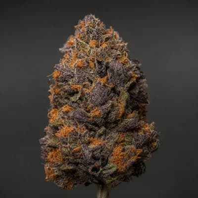 Purple rain