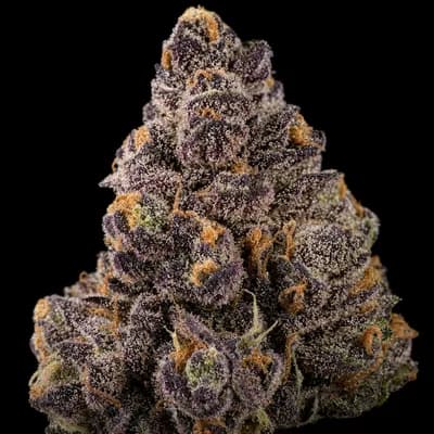 Purple Space Cookies