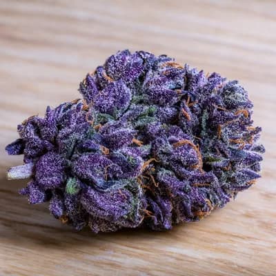 Purple Zkittles