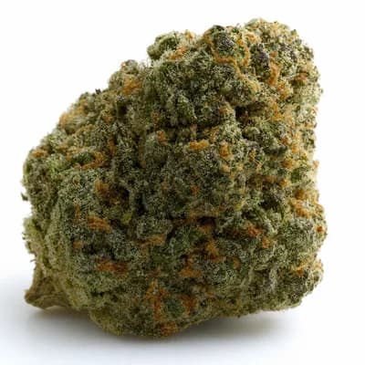 Rainbow Haze