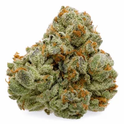 Rainbow Zkittles