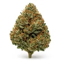 Romulan