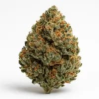 Royal Kush