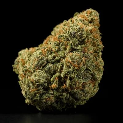 Scooby Snacks CBD
