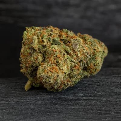 SHERBANA CABANA