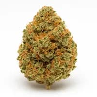 Sherbert