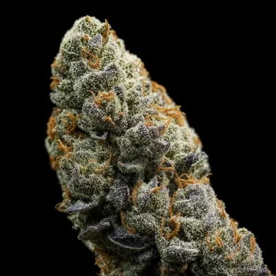 SHERBET CREAM PIE