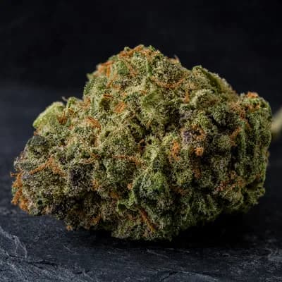 ShuCanna Bermuda Triangle 3 5
