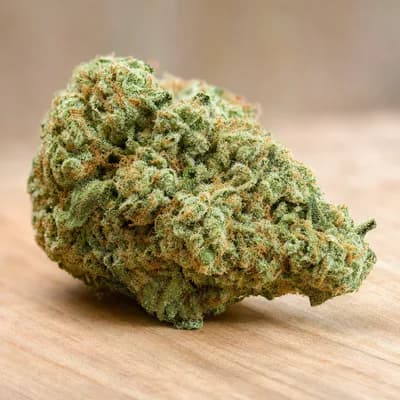 ShuCanna Bermuda Triangle 3 x