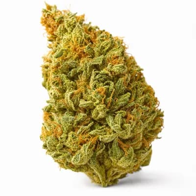 ShuCanna Citrus Rock