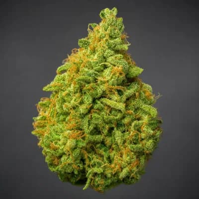 ShuCanna Citrus Rock 10 x