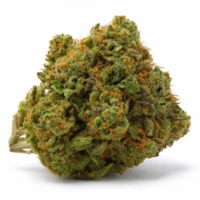 ShuCanna Citrus Rock 3 5