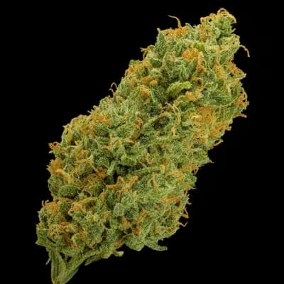 ShuCanna Citrus Rock 3 x