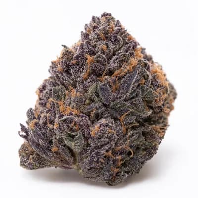 ShuCanna Gorilla Grape 1 x